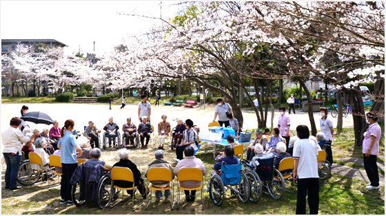 近くの公園でお花見